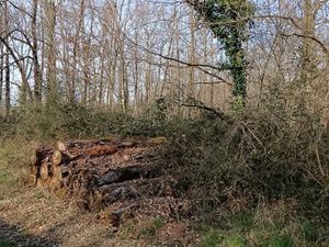 Propriété de loisirs à vendre