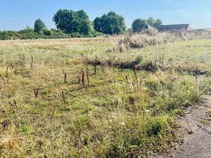 Terrain constructible viabilisé à vendre