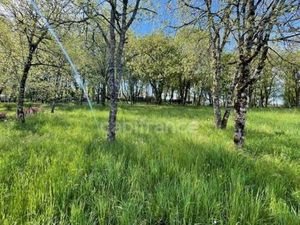 VERGEADE Arnaud Capifrance