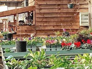 LABORDE Lionel - Lf immo By Lf