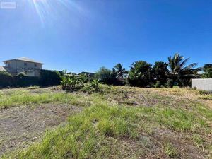 Terrain constructible viabilisé à vendre