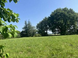 Terrain constructible viabilisé à vendre