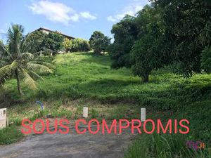 Terrain constructible viabilisé à vendre