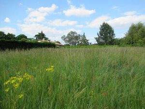 Terrain constructible viabilisé à vendre