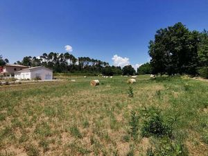 Terrain constructible viabilisé à vendre