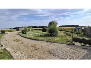 THIERRY TESTARD BSK IMMOBILIER