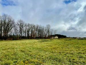 Terrain constructible viabilisé à vendre