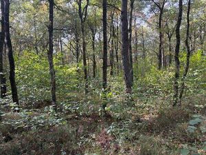 Propriété de loisirs à vendre