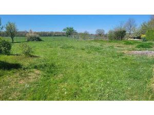 Thierry Monchaux Expertimo