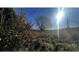 Human Immobilier Miramont de Guyenne