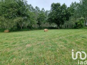 Terrain constructible viabilisé à vendre