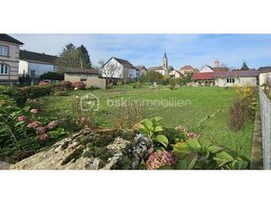 THOMAS VIENNOIS BSK IMMOBILIER