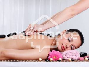 LOUETTE Frédéric Capifrance