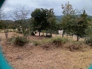 Vente terrain 2295 m² à Coursegoules (06140)  199 000 €