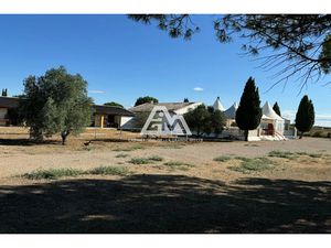 Vente locaux professionnels 11000 m² à Saint-Laurent-d'Aigouze (30220)  558 000 €