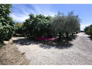 Annonce terrain à vendre