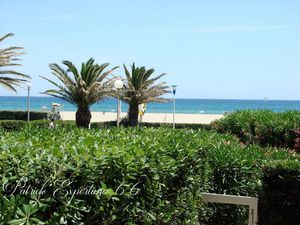 1ère LIGNE Studio Cabine de 26 m2 avec terrasse de 30 m2 fac