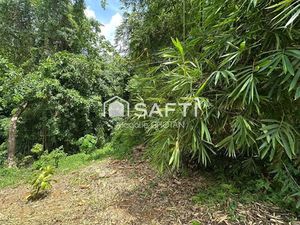 Vente terrain 1609 m² à Le robert (97231)  98 000 €