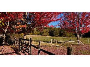 Maison avec piscine et terrasse Saint-Mars-d'Outillé (72)