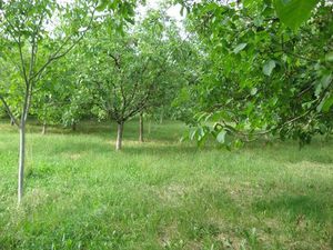 Vente terrain 5957 m² à Alvignac (46500)  98 280 €