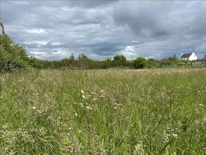 Vente terrain 1355 m² à Camaret-sur-Mer (29570)  176 550 €