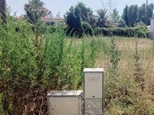 Vente terrain 290 m² à Gigean (34770)  171 000 €