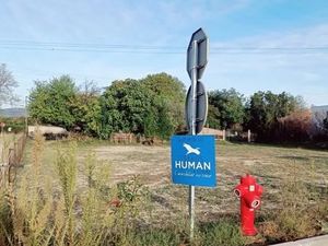 Vente terrain 617 m² à Gigean (34770)  326 000 €