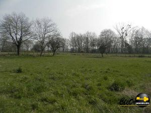 Terrain à vendre