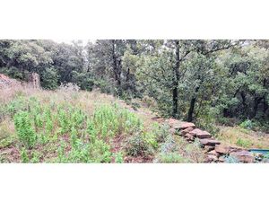 Achat Terrain 16 900m²