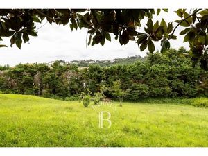 Annonce terrain à vendre