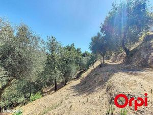 Terrain 1 400 m² Castagniers