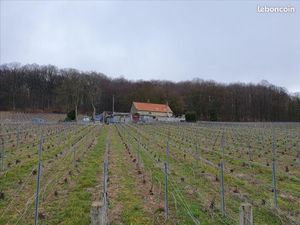 Maison 3 pièces 80 m²