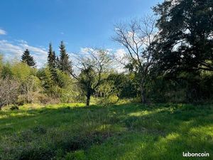 Terrain 2 500 m² Rion Des Landes