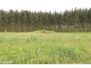 Terrain 1 150 m² Bats Tursan