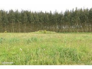 Terrain 1 150 m² Bats Tursan