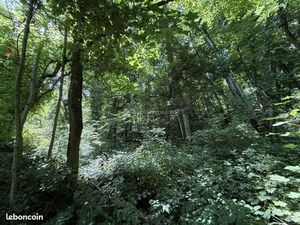 Terrain 3550 m² Nijon