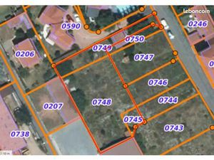 Rare  terrain constructible
