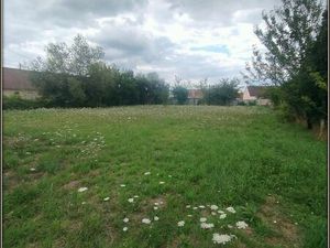 Terrain 1 421 m² Mansigne