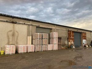 EVEL IMMOBILIER NANCY