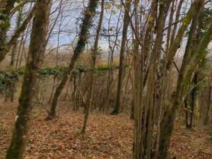 Propriété de loisirs à vendre