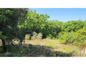 Vente terrain à batir 1000 m² à Barjac (30430)  64 000 €