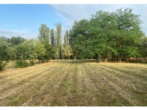 Vente terrain 3862 m² à Toulouse (31000)  239 600 €