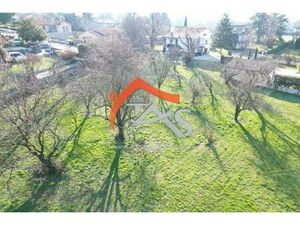 TRANS'ACTIONS SERVICES