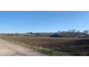 Belle parcelle de 1000m2