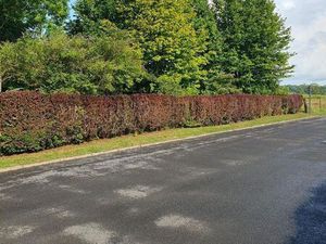 Terrain 1829 m² Hannogne-Saint-Martin