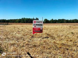 Terrain constructible viabilisé à vendre