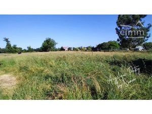 Terrain constructible de 1100 m2 avec bâtisse en pierre à EYRANS (33)
