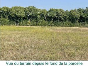 Vente terrain 3944 m² Montcuq-en-Quercy-Blanc (46800)