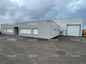 Mr Gauthier Denoyelle