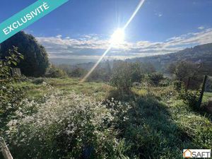 SAFTI RINGEISEN Claire conseiller indépendant